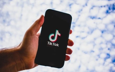 加拿大法院推翻政府TikTok禁令 允许应用暂时继续运营