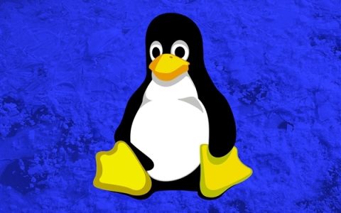 Linux兼容性重大一步！PS安装程序终于可在Wine上正常运行