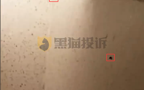 喜来登豪华套房惊现30多只活飞虫 万豪回应：无法约束旗下酒店