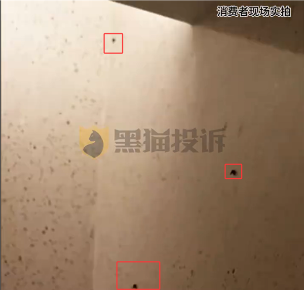 喜来登豪华套房惊现30多只活飞虫 万豪回应：无法约束旗下酒店