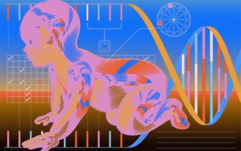 欲要打造“无敌后代” 美国富人兴起订制超级婴儿热潮