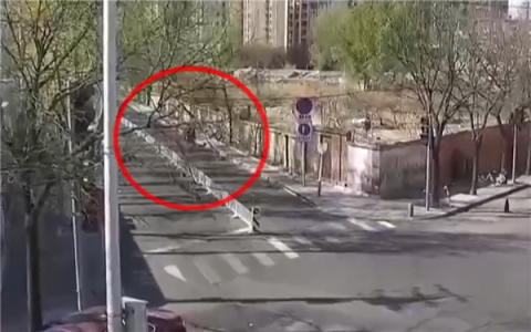 一男子骑电动车被大树砸中当场身亡：三被告均拒绝赔偿