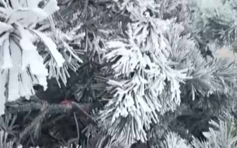 衡山冻成了“冰河世纪” 景区提醒：步行往返需10小时 请谨慎选择