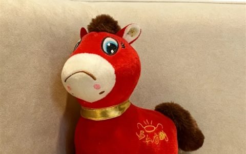 哭哭马意外爆红 网友：这是真的马倒成功了