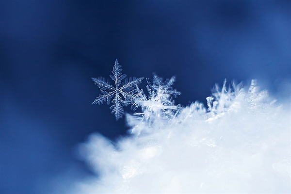 飞机起飞前广东男子往保温杯装雪 网友：这就是南方人对雪的执念吗