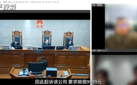 全国首例生成式AI幻觉引发侵权案宣判：平台不存在过错