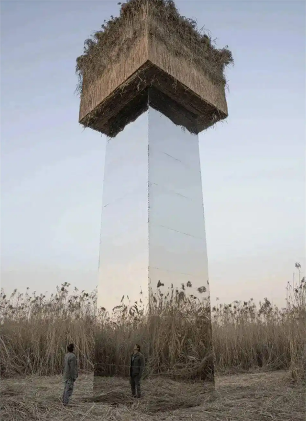 被指候鸟屠场的艺术作品将拆除 因镜面装置易引发鸟撞