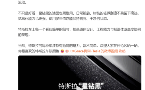 特斯拉总裁陶琳：特斯拉的黑 真的不简单