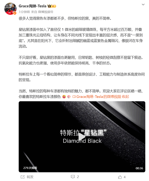 特斯拉总裁陶琳：特斯拉的黑 真的不简单