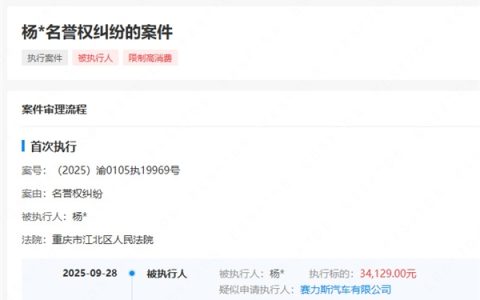 赛力斯维权胜诉 博主判赔3万元拒不执行被限高