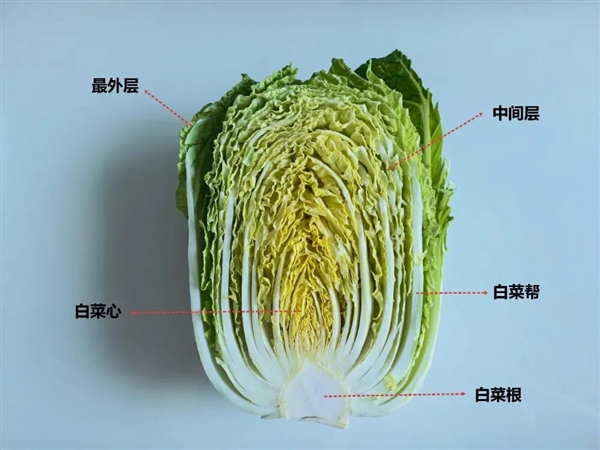 真的想问：一到冬天北方人囤几百斤白菜 真能吃完吗