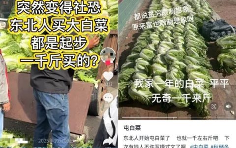真的想问：一到冬天北方人囤几百斤白菜 真能吃完吗
