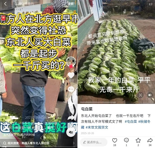 真的想问：一到冬天北方人囤几百斤白菜 真能吃完吗
