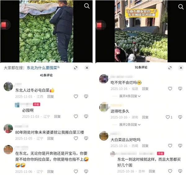 真的想问：一到冬天北方人囤几百斤白菜 真能吃完吗
