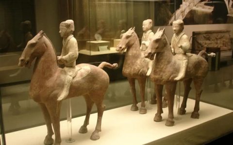 为什么马、驴、骆驼都可以用来骑乘 唯独不见有人驯化鹿来骑