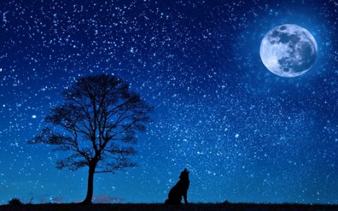 你相信外星人是否真实存在吗！美国国防部长：即将公开相关文件 拭目以待