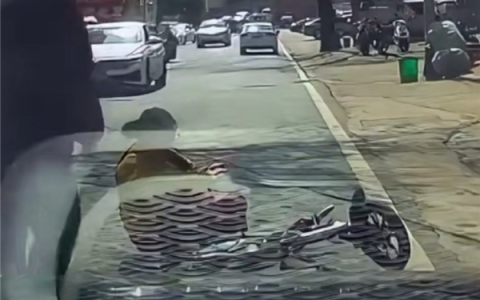 又想复制无接触事故！女子骑车摔倒反诬赖司机摁喇叭被吓到 记录仪显示路面颠簸所致