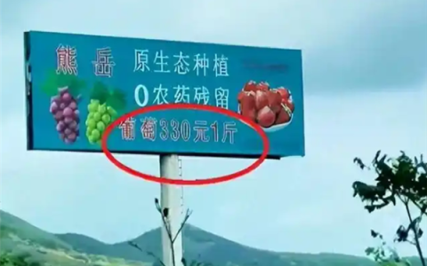 葡萄330元1斤 草莓360元1斤 公司参保人数为0 曾称灌溉一次要用800斤牛奶兑水