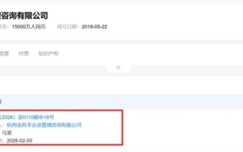 曾经大热的自嗨锅走到破产边缘：创始人被限高