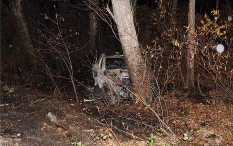 特斯拉Model Y车祸起火后车门打不开 20岁男子报警后身亡