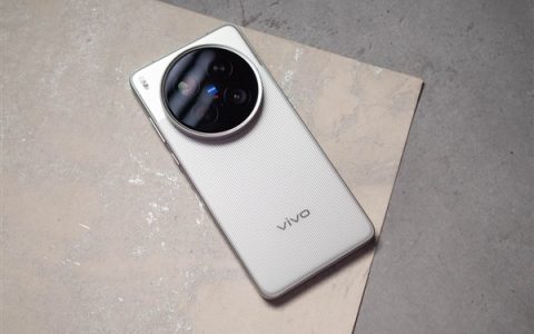 蓝厂首款Max旗舰来了！vivo X300 Max入网