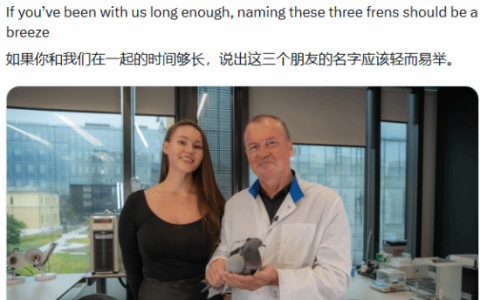 太科幻了！俄罗斯公司把鸽子改造成可操控的活体监控器