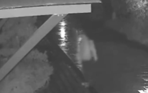 140万保时捷被盗!警方2小时追回 荒唐窃贼：找代驾开去前女友家炫耀