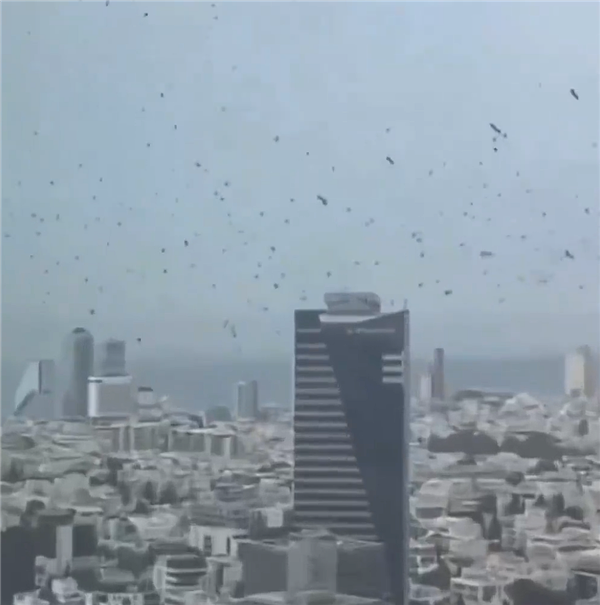 以色列城市上空惊现成千上万乌鸦 鸟类专家:常规季节性迁徙