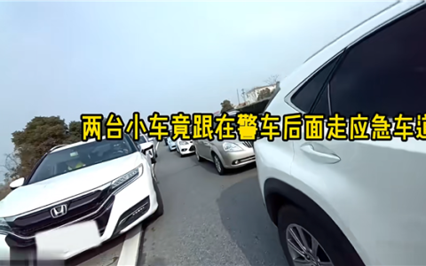 男子跟着警车走应急车道还洋洋得意：“警车给我开道！”