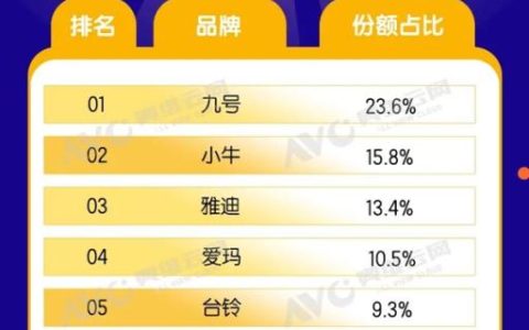 2025线上电动车排名出炉：九号第一、小牛第二