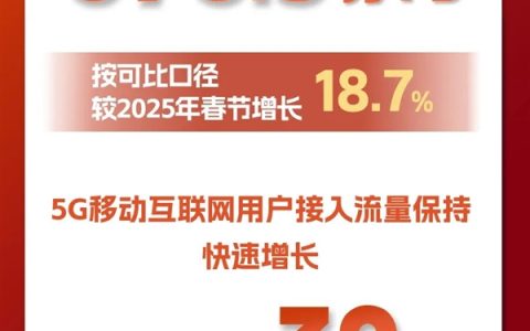 塞满220万块4TB硬盘！春节9天手机流量创新高 抖音排第一