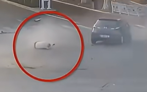 超速闯黄灯撞上无证闯红灯老人致其死亡 定责来了