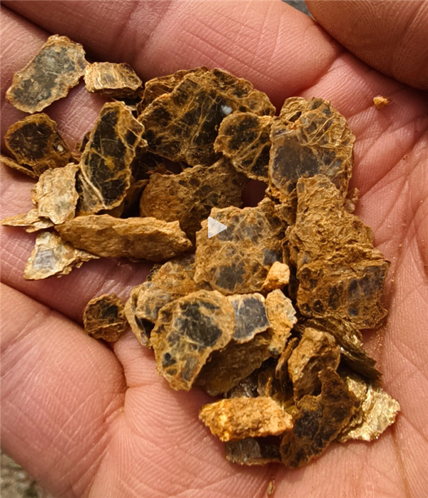 8岁男孩爬山识草疑发现金矿 官方回应：有可能