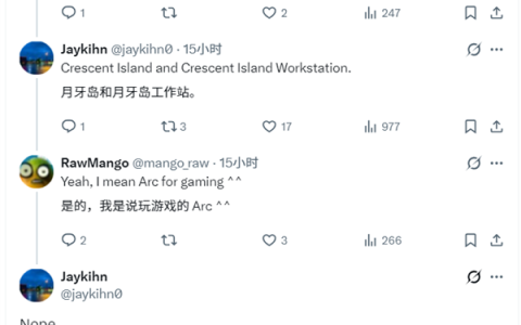 Intel下代Xe3P独显：只有AI和工作站、游戏玩家靠边