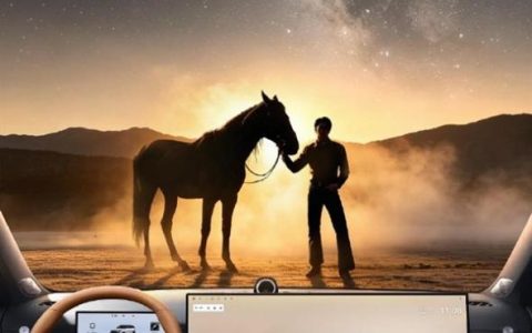 奇瑞官宣：于适担任中国新燃油全球代言人 亮相瑞虎9上市发布会