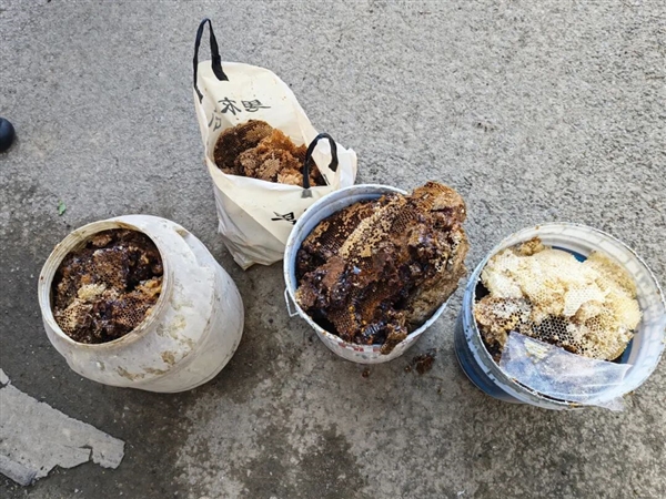 开眼了 徐州一户人家惊现1米巨型蜂巢 三大桶装不下