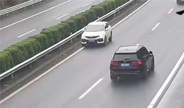 高速快车道内一路逆行！女子：开太久脑子不清楚了