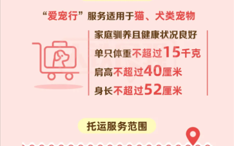 高铁宠物托运“爱宠行”服务今日正式推出 宠物箱科技量拉满