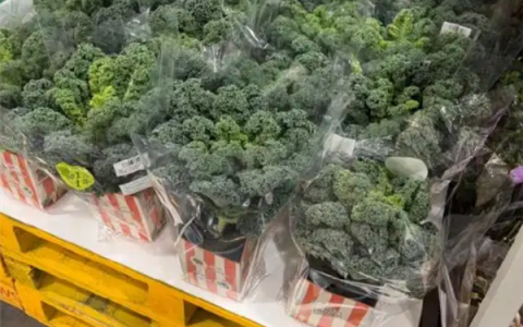 网红蔬菜价格大涨30倍 一经推出直接被抢空