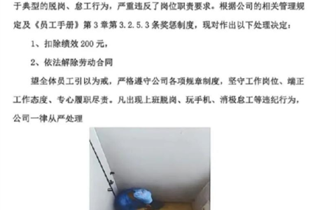 员工在厕所玩手机被拍遭开除 照片公示引争议 公司回应：管理人员门缝拍的