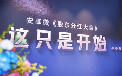 安卓微首届持股分红大会现场
