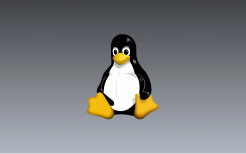 Linux创始人怒喷AI工具滥用：海量重复Bug报告涌入  严重破坏Linux内核开发
