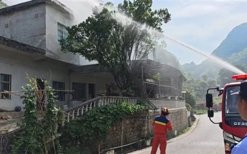 3米长手臂般粗眼镜王蛇盘踞院内树梢 消防动用水炮成功制服