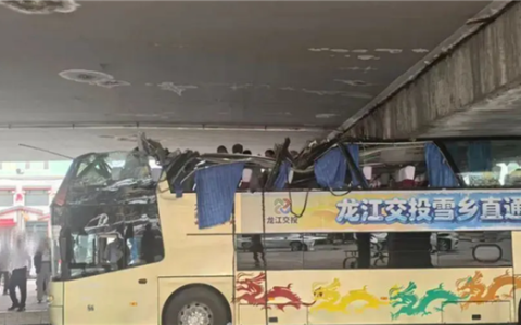 突发！哈尔滨双层巴士被高架桥削顶 官方通报：司机疏忽所致