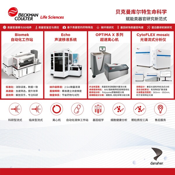 贝克曼库尔特生命科学展示其在类器官研究领域的解决方案