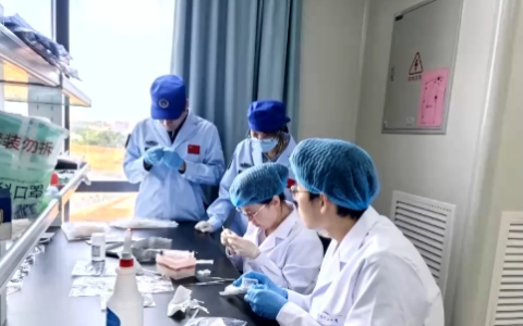 天舟十号为何带着斑马鱼胚胎细胞上太空 专家解读