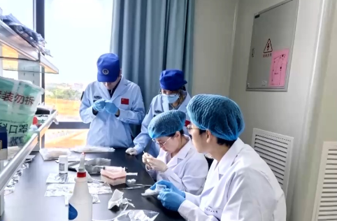 天舟十号为何带着斑马鱼胚胎细胞上太空 专家解读