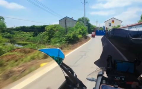 眼镜蛇在路上守株待兔 摩托车经过瞬间弹射攻击  当事人：当时吓坏了