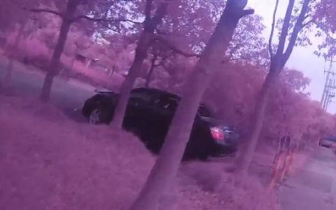 车主为省停车费将车停河边一周后车没了 竟被人当废铁卖了2500元