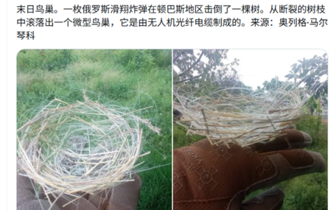 全球首例！乌克兰鸟类已适应战场环境：用无人机光纤电缆编织巢穴
